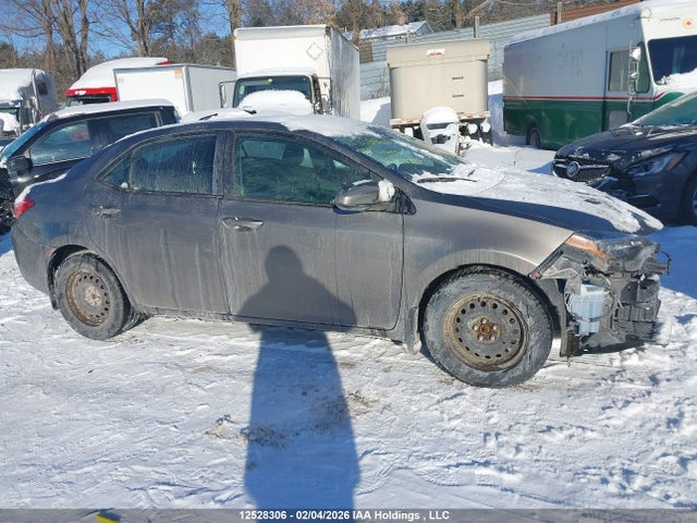 2T1BURHE6JC020763 Toyota Corolla Ce/le/se