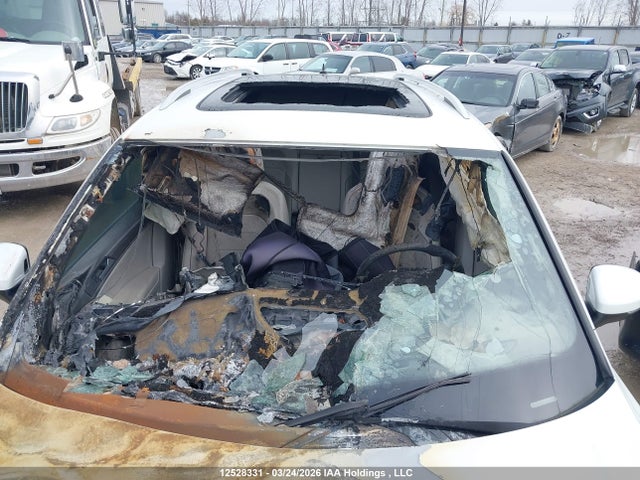 12528331 :رقم المزاد ، 3VV4B7AX0RM036671 vin ، 2024 Volkswagen Tiguan مزاد بيع