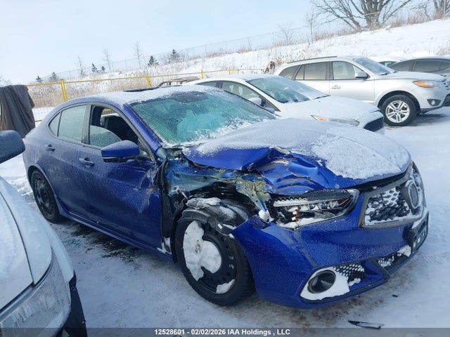 19UUB1F63KA800805 Acura Tlx Technology/a-spec