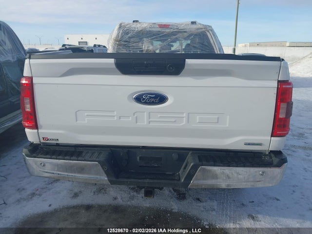 Ford F-150 Xlt 2021 1FTFW1E83MFC67830 Image 17