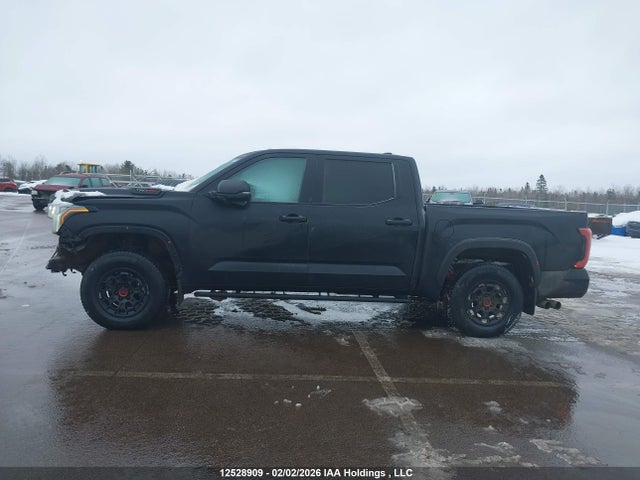 2023 Toyota Tundra Crewmax Limited/crewmax Trd Pro მანქანა იყიდება აუქციონზე, vin: 5TFPC5DBXPX029070, აუქციონის ნომერი: 12528909