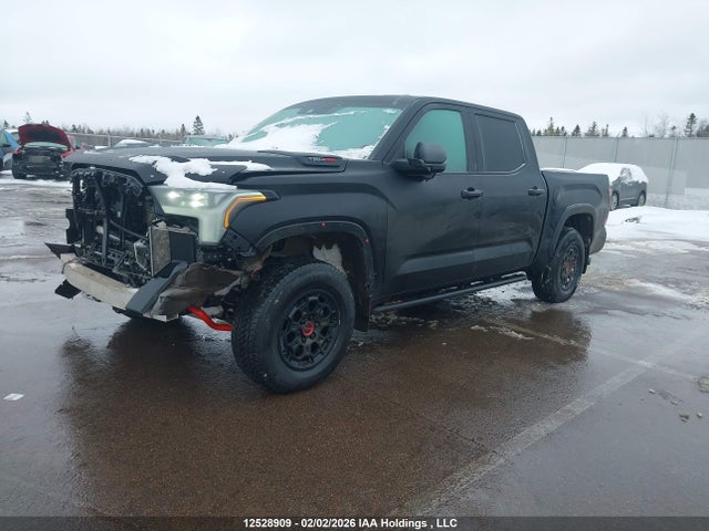 2023 Toyota Tundra Crewmax Limited/crewmax Trd Pro მანქანა იყიდება აუქციონზე, vin: 5TFPC5DBXPX029070, აუქციონის ნომერი: 12528909
