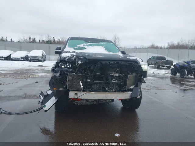 2023 Toyota Tundra Crewmax Limited/crewmax Trd Pro მანქანა იყიდება აუქციონზე, vin: 5TFPC5DBXPX029070, აუქციონის ნომერი: 12528909