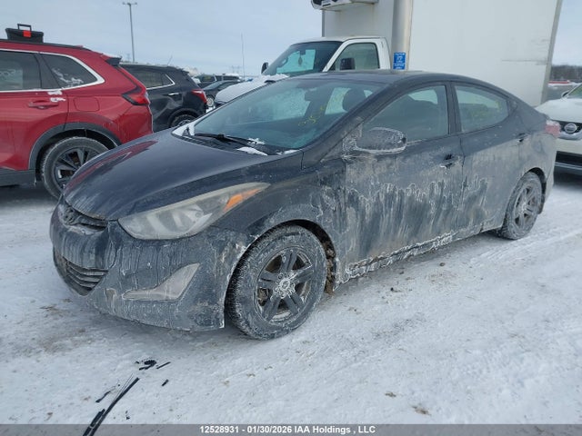 KMHDH4AH4FU238212 Hyundai Elantra Gls