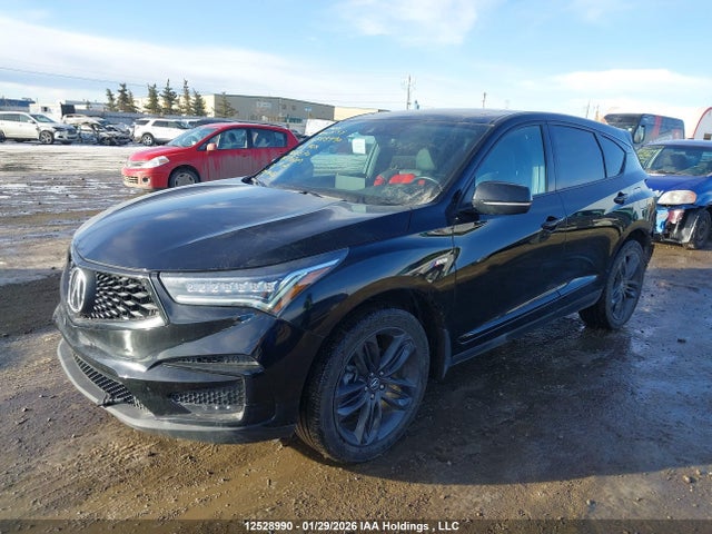 5J8TC2H60KL801670 Acura Rdx A-spec