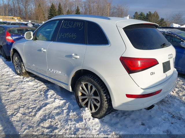 WA1LFCFP6EA019665 Audi Q5 Premium Plus