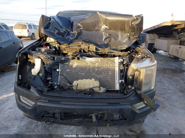 1FTEW1EP0PFA74042 Ford F-150 Lariat/xl/xlt