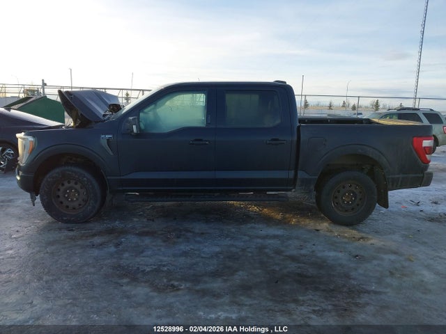 1FTEW1EP0PFA74042 Ford F-150 Lariat/xl/xlt