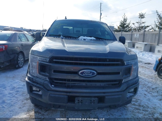 1FTEW1EG3JFE12380 Ford F-150 Xlt