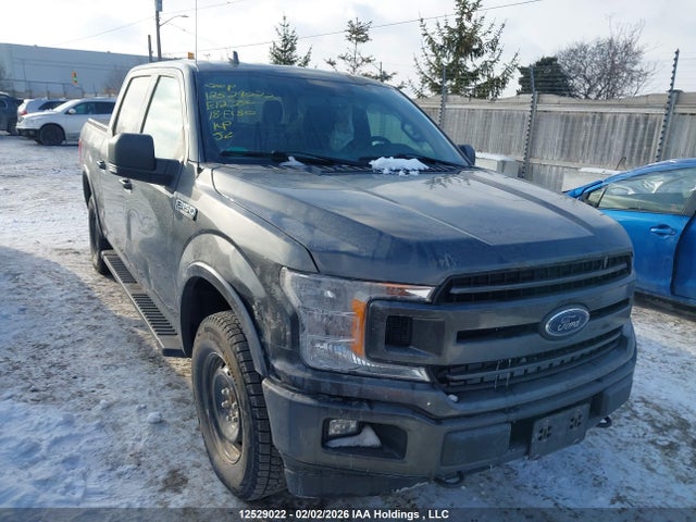 1FTEW1EG3JFE12380 Ford F-150 Xlt