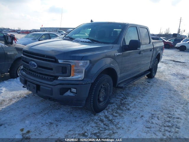 1FTEW1EG3JFE12380 Ford F-150 Xlt