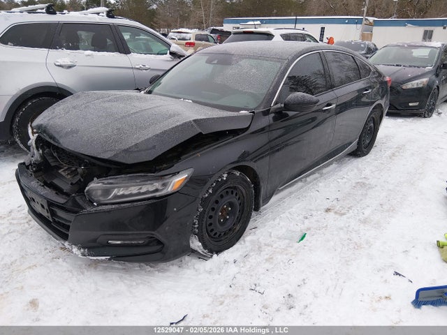 1HGCV1F51LA802323 Honda ACCORD EXL