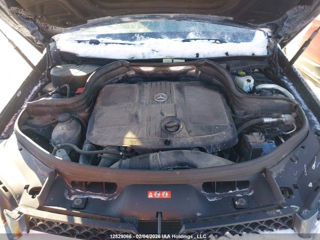 WDCGG0EB8FG342469 Mercedes-Benz Glk 250 Bluetec