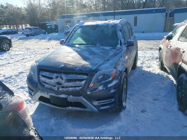WDCGG0EB8FG342469 Mercedes-Benz Glk 250 Bluetec
