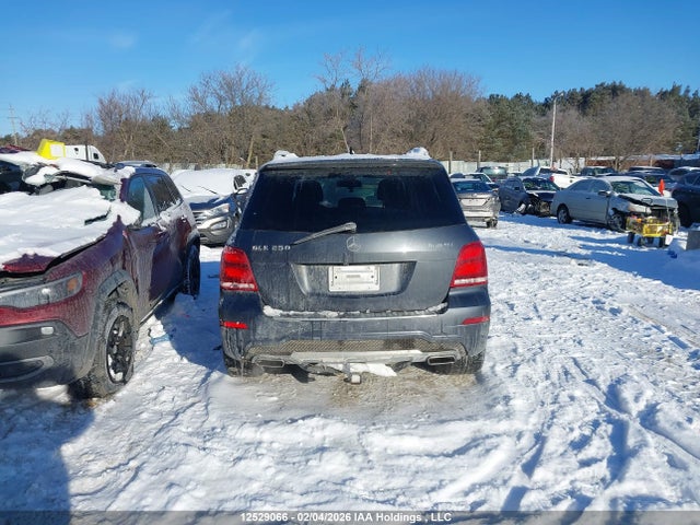 WDCGG0EB8FG342469 Mercedes-Benz Glk 250 Bluetec