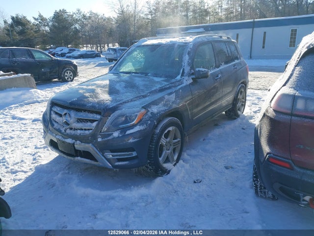 WDCGG0EB8FG342469 Mercedes-Benz Glk 250 Bluetec