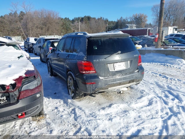 WDCGG0EB8FG342469 Mercedes-Benz Glk 250 Bluetec