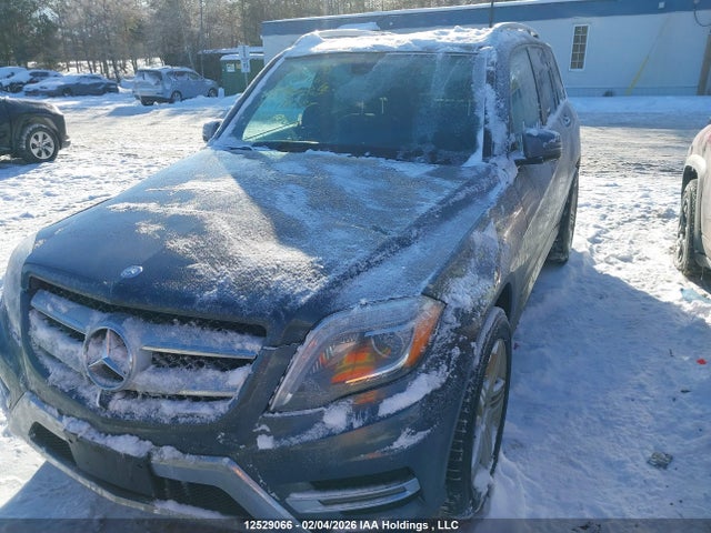 WDCGG0EB8FG342469 Mercedes-Benz Glk 250 Bluetec