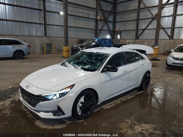 KMHLN4AG4PU486778 Hyundai Elantra Luxury Ivt