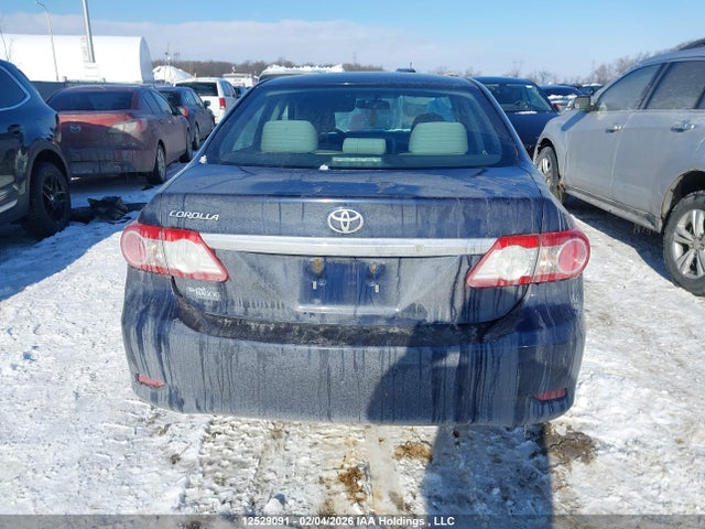 12529091 :رقم المزاد ، 2T1BU4EE2BC695499 vin ، 2011 Toyota Corolla مزاد بيع