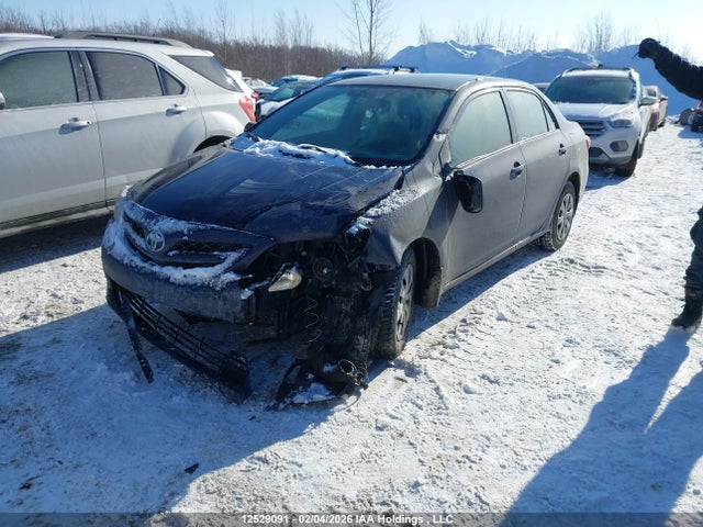 12529091 :رقم المزاد ، 2T1BU4EE2BC695499 vin ، 2011 Toyota Corolla مزاد بيع