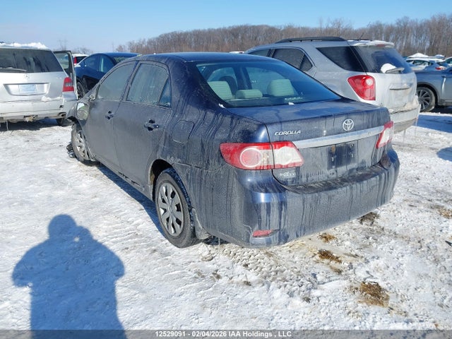 12529091 :رقم المزاد ، 2T1BU4EE2BC695499 vin ، 2011 Toyota Corolla مزاد بيع