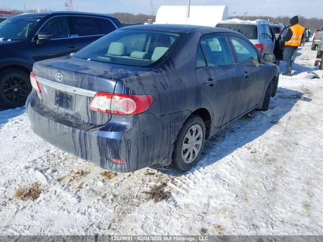 12529091 :رقم المزاد ، 2T1BU4EE2BC695499 vin ، 2011 Toyota Corolla مزاد بيع