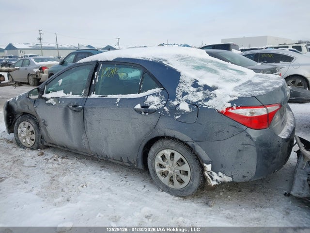 2T1BURHE4GC716692 Toyota COROLLA CE