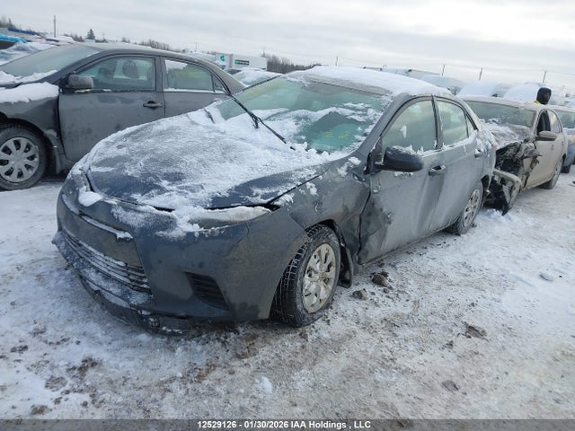 2T1BURHE4GC716692 Toyota COROLLA CE