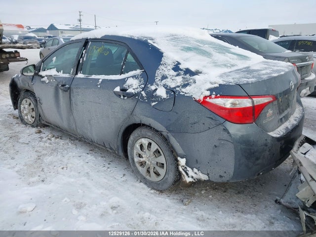 2T1BURHE4GC716692 Toyota COROLLA CE