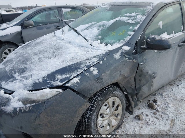 2T1BURHE4GC716692 Toyota COROLLA CE