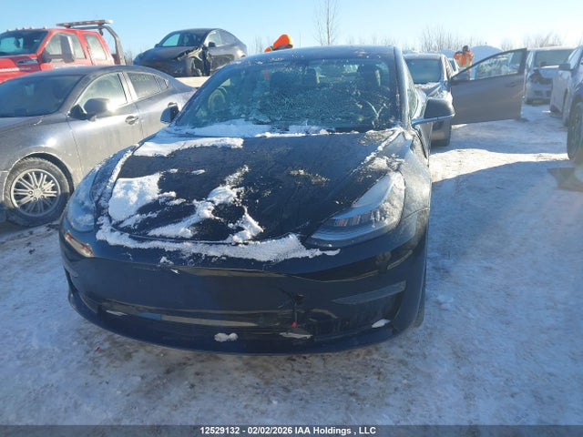 Tesla Model 3 Long Range/mid Range/standard Range/standard Range Plus 2019 5YJ3E1EA0KF420092 Image 12