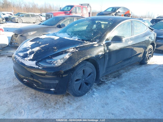 Tesla Model 3 Long Range/mid Range/standard Range/standard Range Plus 2019 5YJ3E1EA0KF420092 Image 2