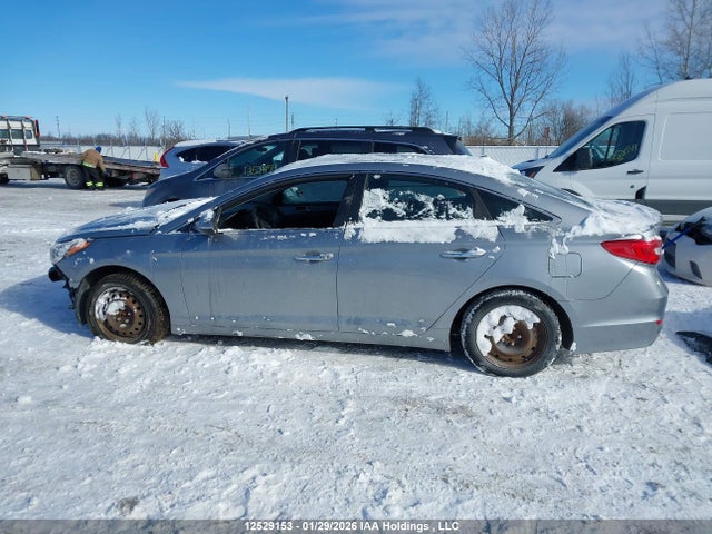 5NPE24AF6HH449496 Hyundai SONATA GLS