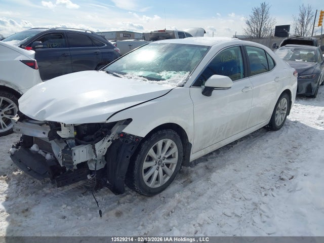 4T1C11AK8LU926137 Toyota Camry