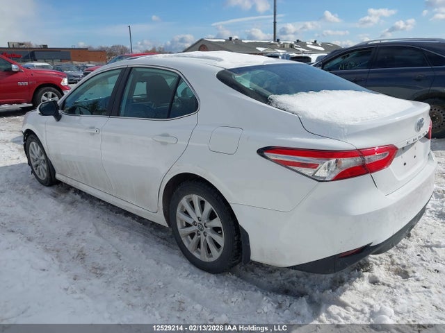 4T1C11AK8LU926137 Toyota Camry