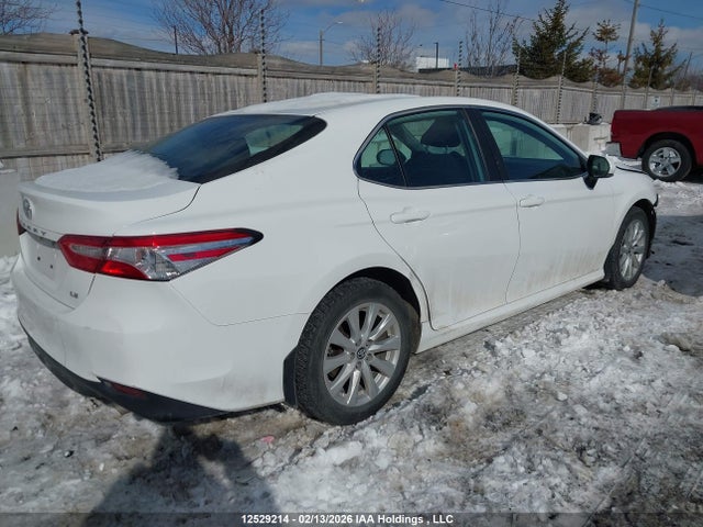 4T1C11AK8LU926137 Toyota Camry