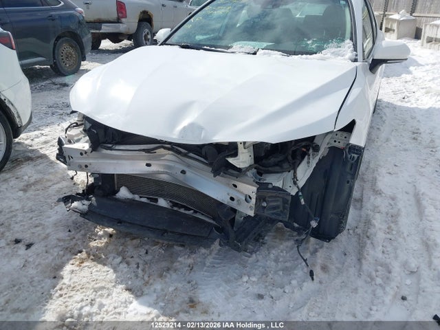 4T1C11AK8LU926137 Toyota Camry