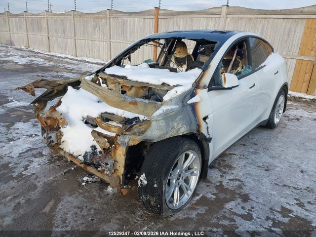 7SAYGDEE9PF763093 Tesla Model Y