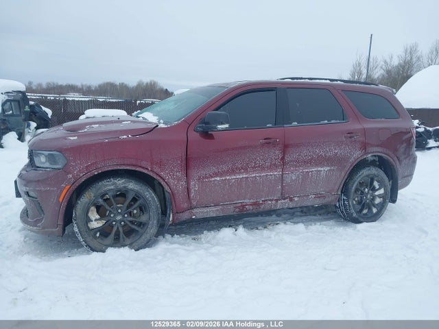 2023 Dodge Durango Gt მანქანა იყიდება აუქციონზე, vin: 1C4RDJDG2PC598352, აუქციონის ნომერი: 12529365