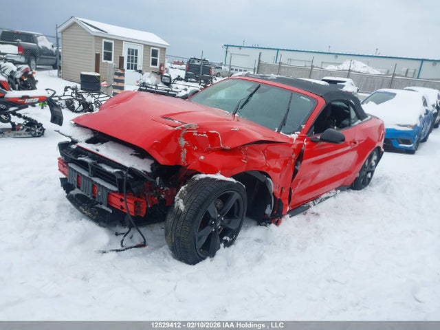 1FATP8UH6P5112344 Ford Mustang