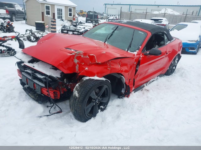 1FATP8UH6P5112344 Ford Mustang