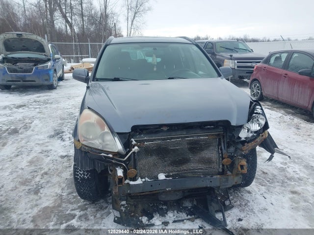 2006 Honda Cr-v Se/ex მანქანა იყიდება აუქციონზე, vin: JHLRD78976C806841, აუქციონის ნომერი: 12529440