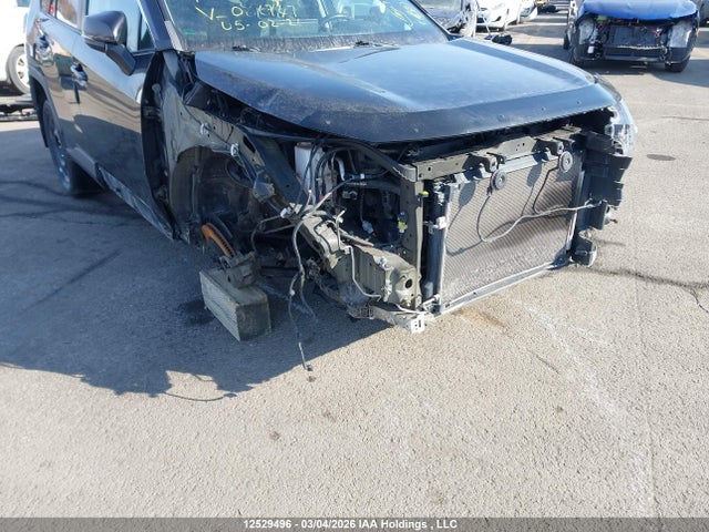 12529496 :رقم المزاد ، 2T3R1RFV4LW086747 vin ، 2020 Toyota Rav4 Xle/xle Premium مزاد بيع