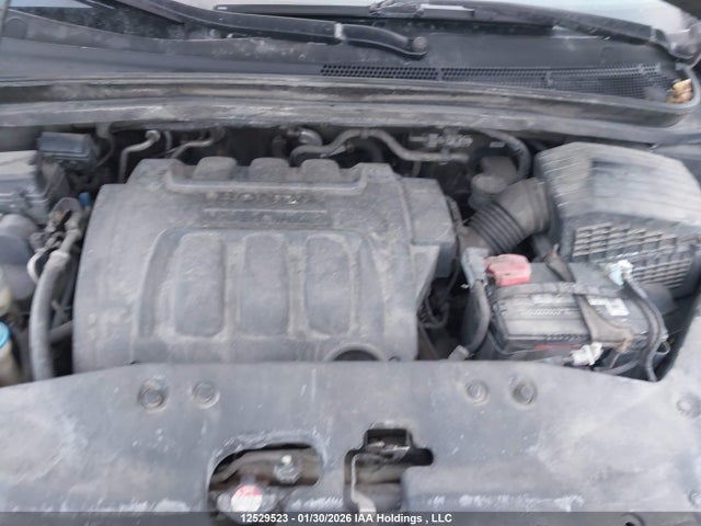 Aukcja sprzedaży 2006 Honda Odyssey Ex, vin: 5FNRL384X6B514195, numer aukcji: 12529523