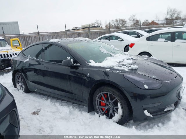 Продажа на аукционе авто 2021 Tesla Model 3 Standard Range/standard Range Plus, vin: 5YJ3E1EA4MF985139, номер лота: 12529616