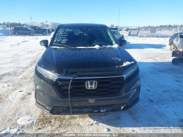 2HKRS4H25SH100597 Honda CR-V LX