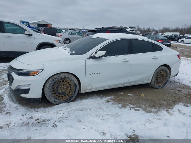 2022 Chevrolet Malibu მანქანა იყიდება აუქციონზე, vin: 1G1ZD5ST0NF165446, აუქციონის ნომერი: 12529749