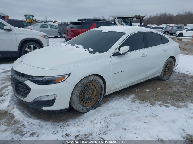 2022 Chevrolet Malibu მანქანა იყიდება აუქციონზე, vin: 1G1ZD5ST0NF165446, აუქციონის ნომერი: 12529749