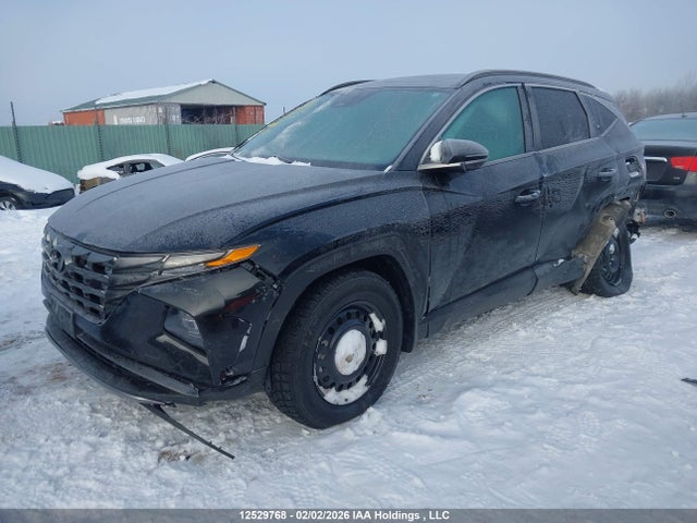 KM8JCCA13NU011929 Hyundai Tucson Luxury